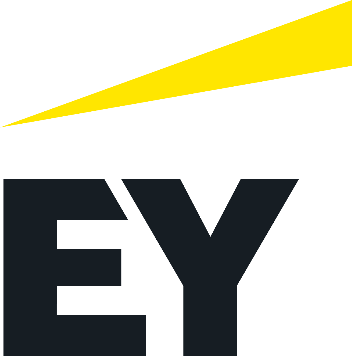 Technology Risk at EY